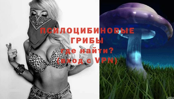 молекула духа Баксан